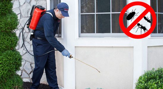 Çeşmealtı Kene İlaçlama böcek ilaçlama ve haşere kontrolü — ilaclama-tr.com